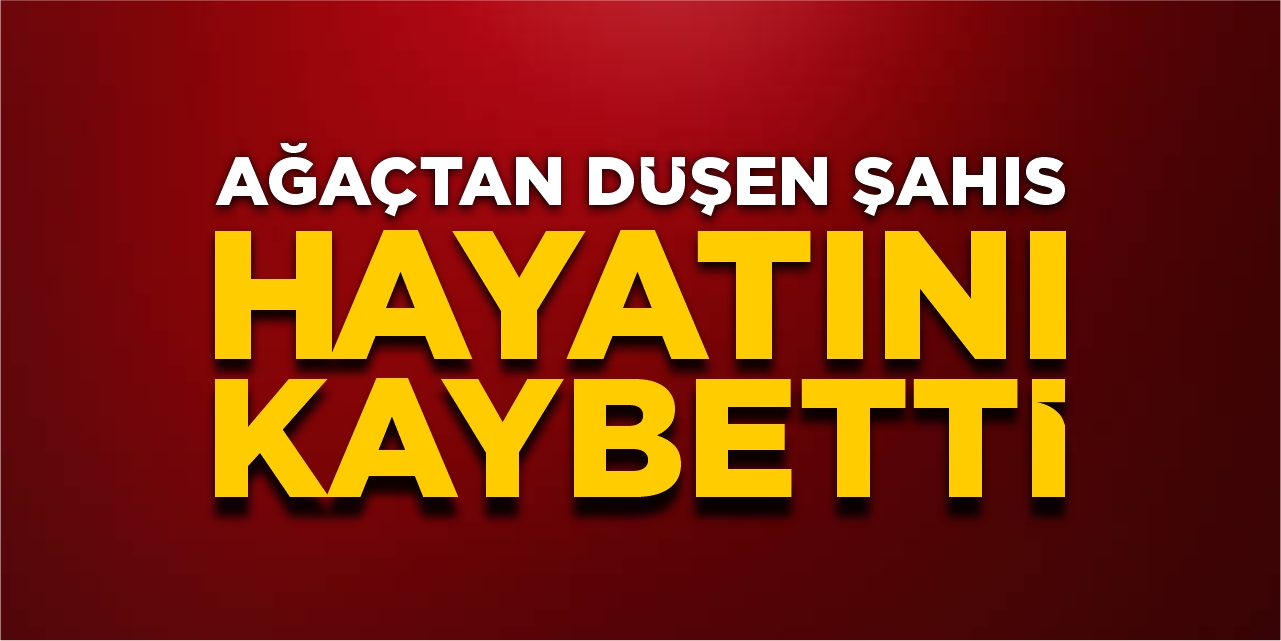 Ağaçtan düşen şahıs hayatını kaybetti!