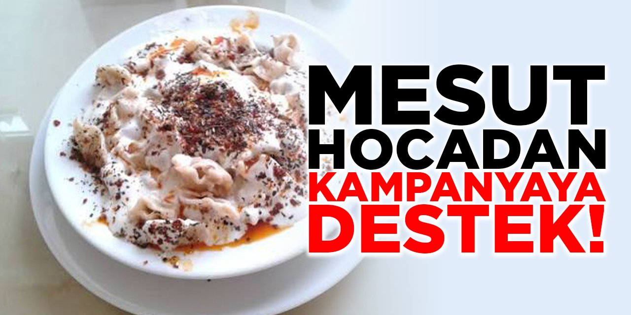 Mesut Hocadan Kampanyaya Destek