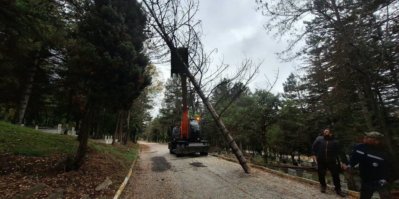 Kuvvetli rüzgar ağacı devirdi!