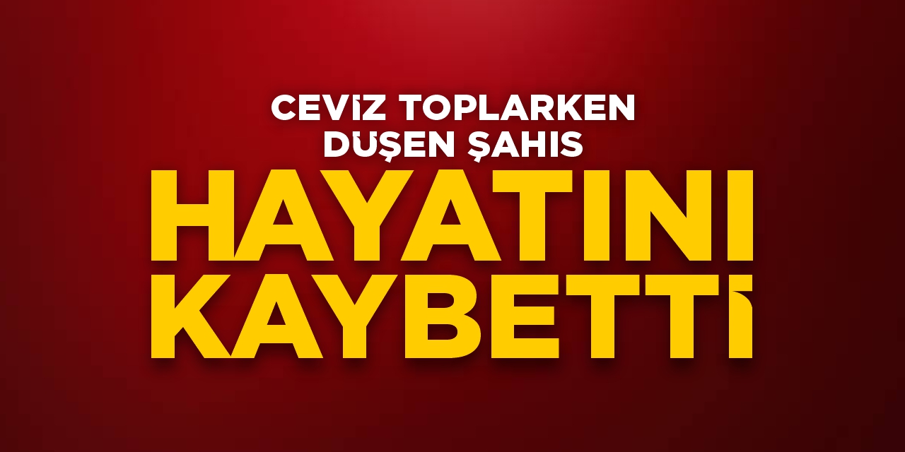 Bilecik'te ceviz toplarken düşen şahıs hayatını kaybetti