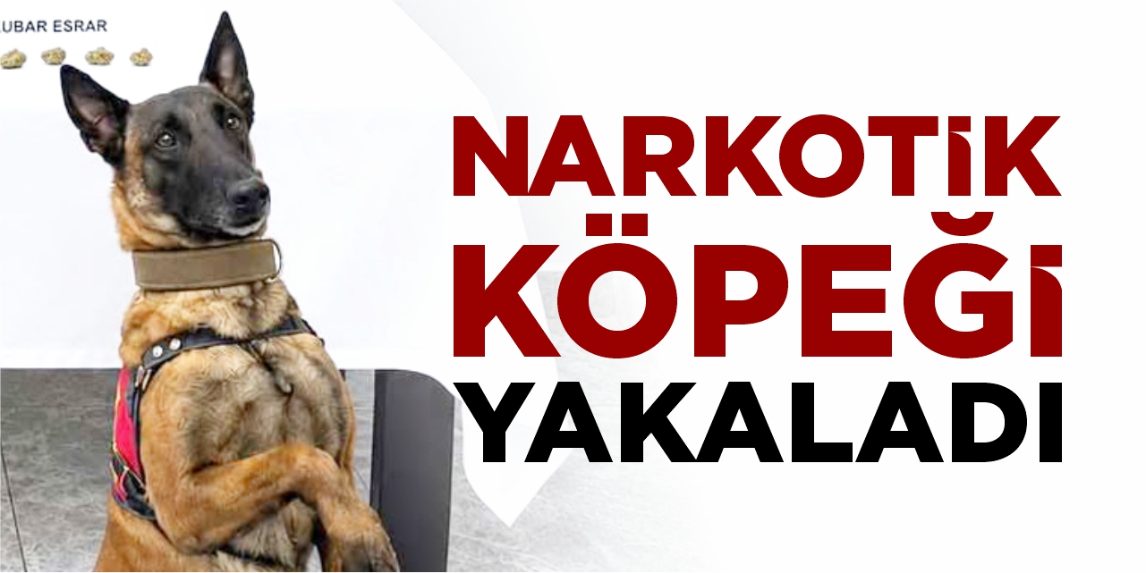 Narkotik köpeği yakaladı!
