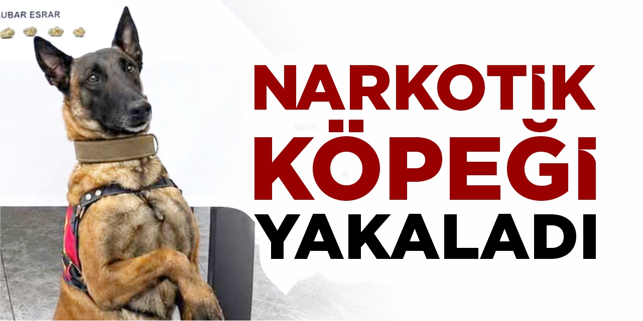 Narkotik köpeği yakaladı!