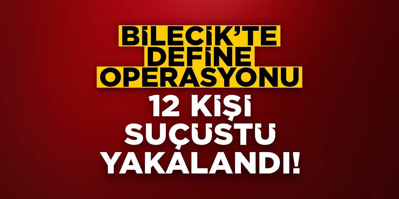 Bilecik'te define operasyonu! 12 kişi suçüstü yakalandı!