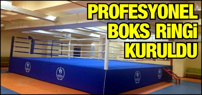 PROFESYONEL BOKS RİNGİ KURULDU