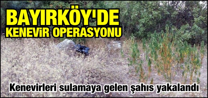 JANDARMADAN KENEVİR OPERASYONU