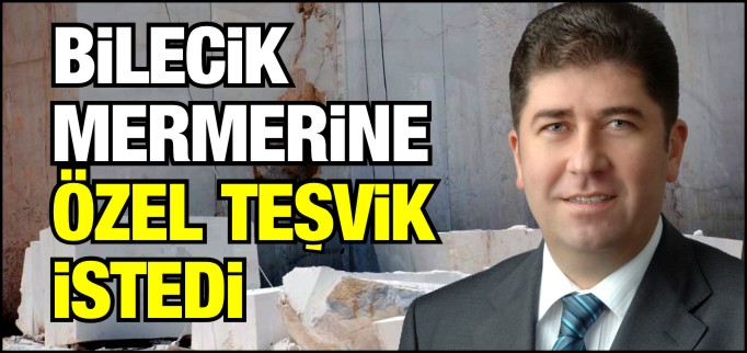 TÜZÜN BİLECİK MERMERİNE ÖZEL TEŞVİK İSTEDİ