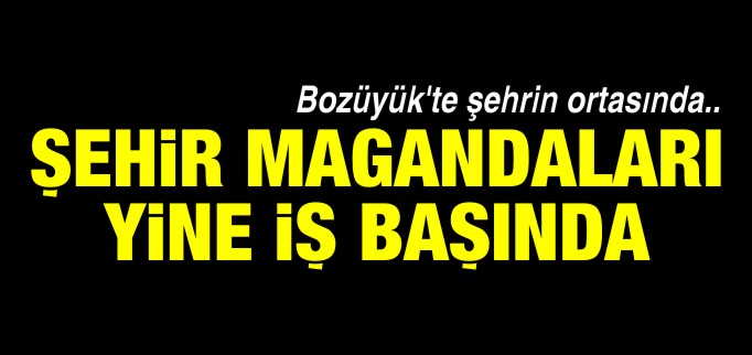 ŞEHİR MAGANDALARI YİNE İŞ BAŞINDAYDI