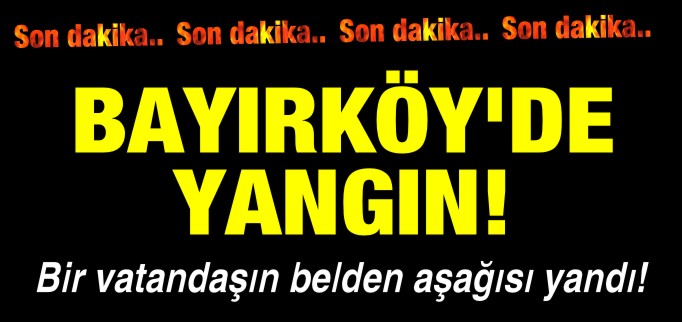 BAYIRKÖY’DE ZEYTİNLİK YANGINI!