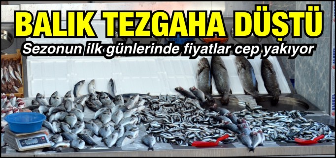 BALIK TEZGAHA DÜŞTÜ
