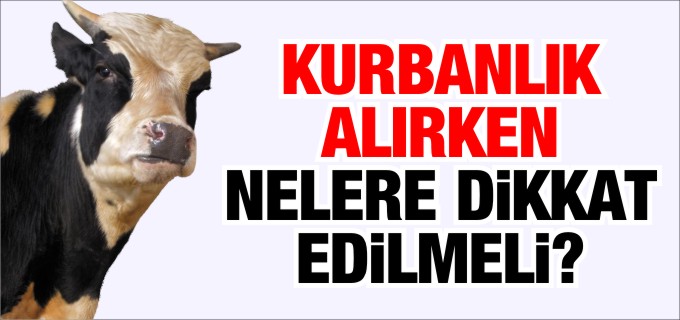 KURBANLIK ALIRKEN NELERE DİKKAT EDİLMELİ?