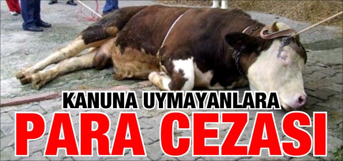 KANUNA UYMAYANLARA PARA CEZASI