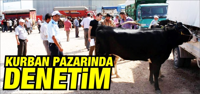 KURBAN PAZARINDA DENETİM