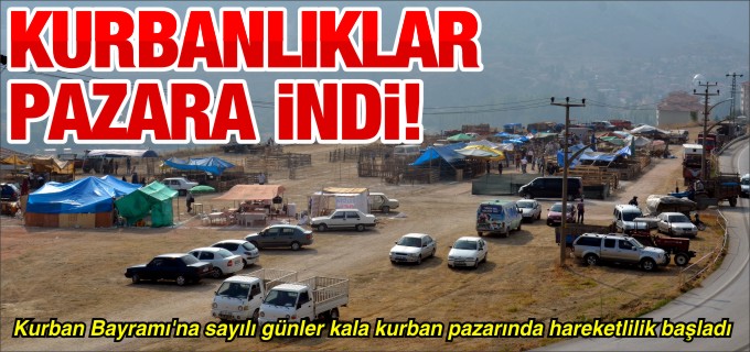 KURBANLIKLAR PAZARA İNDİ