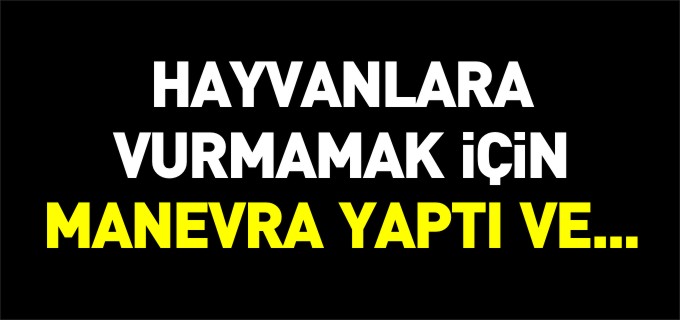 HAYVANLARA VURMAMAK İÇİN MANEVRA YAPTI VE...