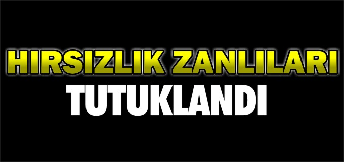 HIRSIZLIK ZANLILARI TUTUKLANDI