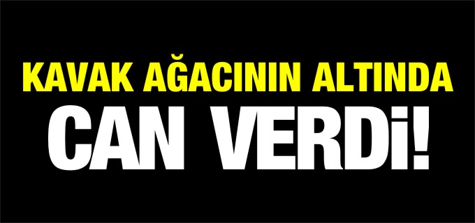 KAVAK AĞACININ ALTINDA CAN VERDİ