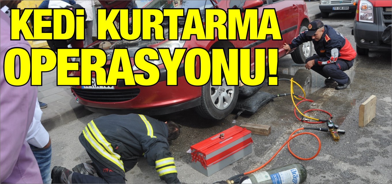 BOZÜYÜK İTFAİYESİNDEN YAVRU KEDİ OPERASYONU