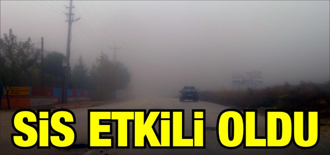 SİS HAYATI OLUMSUZ ETKİLEDİ