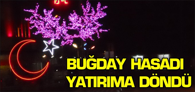 BUĞDAY HASADI YATIRIMA DÖNDÜ