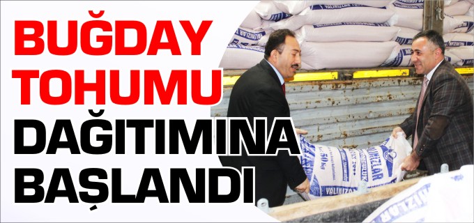 BUĞDAY TOHUMU DAĞITIMINA BAŞLANDI