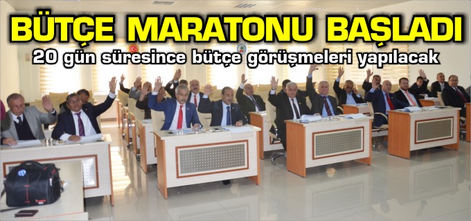 2016 BÜTÇE GÖRÜŞMELERİ BAŞLADI