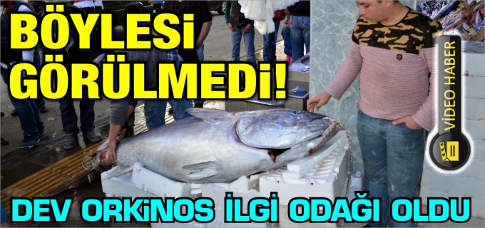 BÖYLESİ GÖRÜLMEDİ