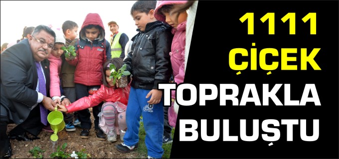 1111 ADET ÇİÇEK TOPRAKLA BULUŞTU