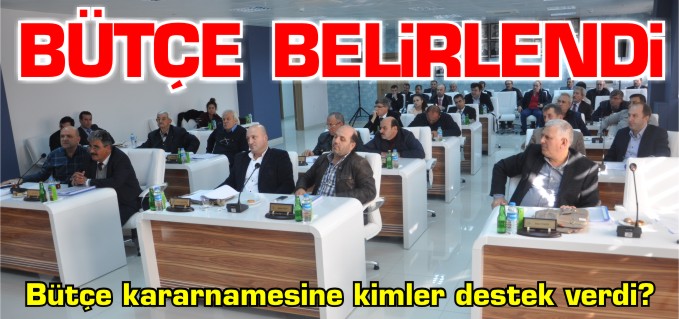 BOZÜYÜK BELEDİYESİ 2016 YILI BÜTÇESİ 71 MİLYON TL