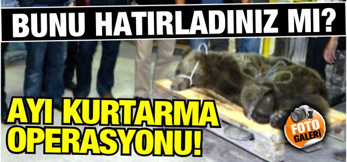 AYI KURTARMA OPERASYONU