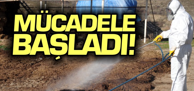 BOZÜYÜK’TE HAŞERELERE YÖNELİK KIŞLAK MÜCADELESİ BAŞLADI