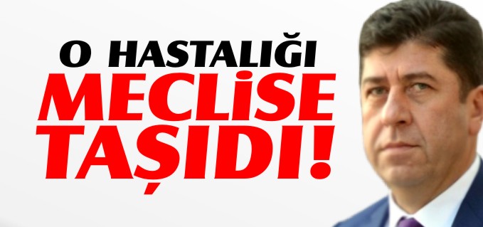 SİLİKOZİS HASTALIĞINI MECLİSE TAŞIDI