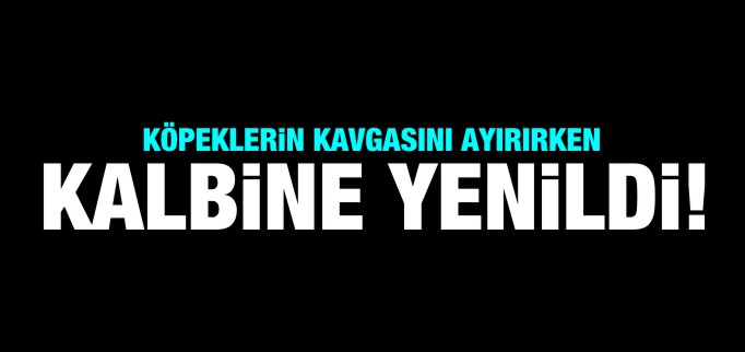KÖPEKLERİN KAVGASINI AYIRIRKEN KALBİNE YENİLDİ