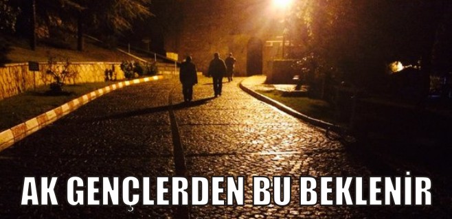 AK GENÇLERDEN BU BEKLENİR