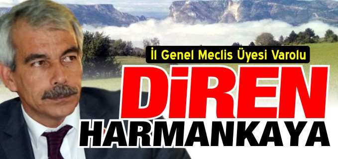 ’DİREN HARMANKAYA DİREN!’