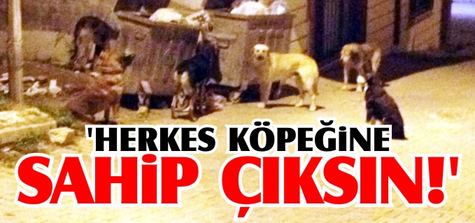 ’HERKES KÖPEĞİNE SAHİP ÇIKSIN’