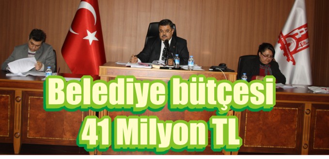 BELEDİYENİN BÜTÇESİ 41 MİLYON TL