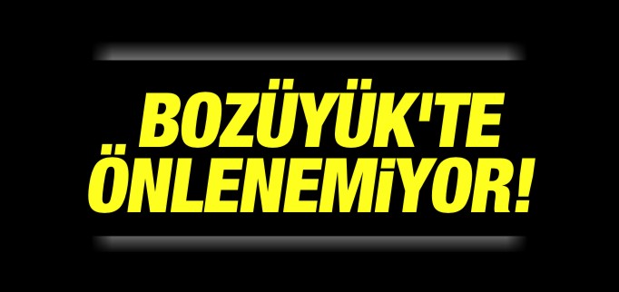 BOZÜYÜK’TE PARK TAHRİBATININ ÖNÜNE GEÇİLEMİYOR