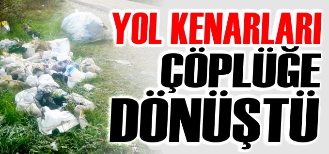ÇÖPLERİNİ KÖY YOLLARININ KENARLARINA DÖKÜYORLAR