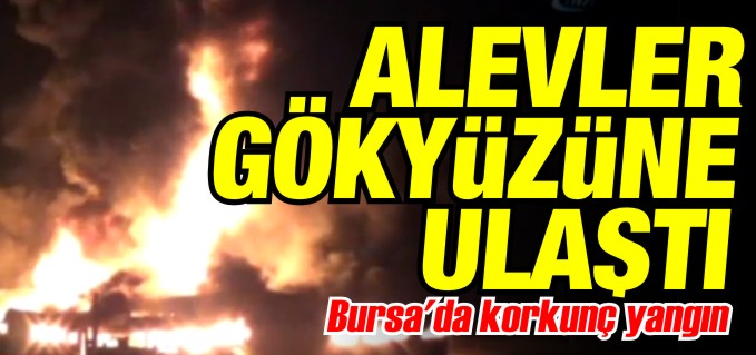 ALEVLER GÖKYÜZÜNE ULAŞTI