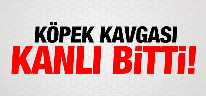 KÖPEK KAVGASI KANLI BİTTİ
