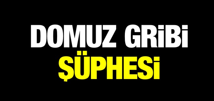 BİLECİK’TE ’DOMUZ GRİBİ’ ŞÜPHESİ