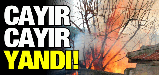 CAYIR CAYIR YANDI!