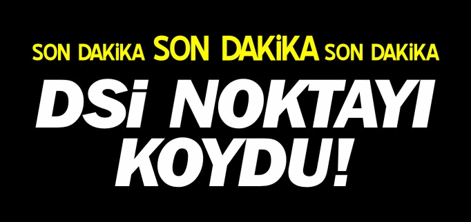 DSİ NOKTAYI KOYDU