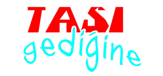 TAŞI GEDİĞİNE