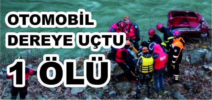 BURSA’DA KONTROLDEN ÇIKAN OTOMOBİL DEREYE UÇTU:1 ÖLÜ