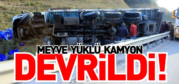 MEYVE YÜKLÜ KAMYON DEVRİLDİ