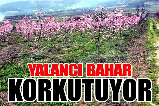 YALANCI BAHAR KORKUTUYOR