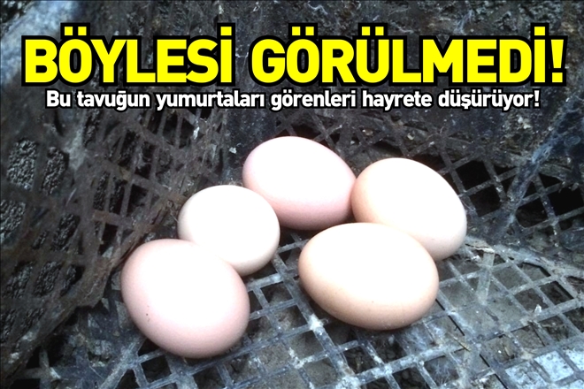 GÖRENLERİ HAYRETE DÜŞÜRÜYOR