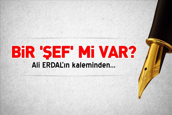 BİR “ŞEF” Mİ VAR?