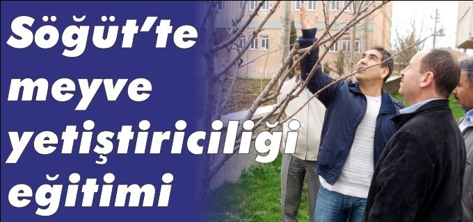 SÖĞÜT’TE MEYVE YETİŞTİRİCİLİĞİ EĞİTİMİ